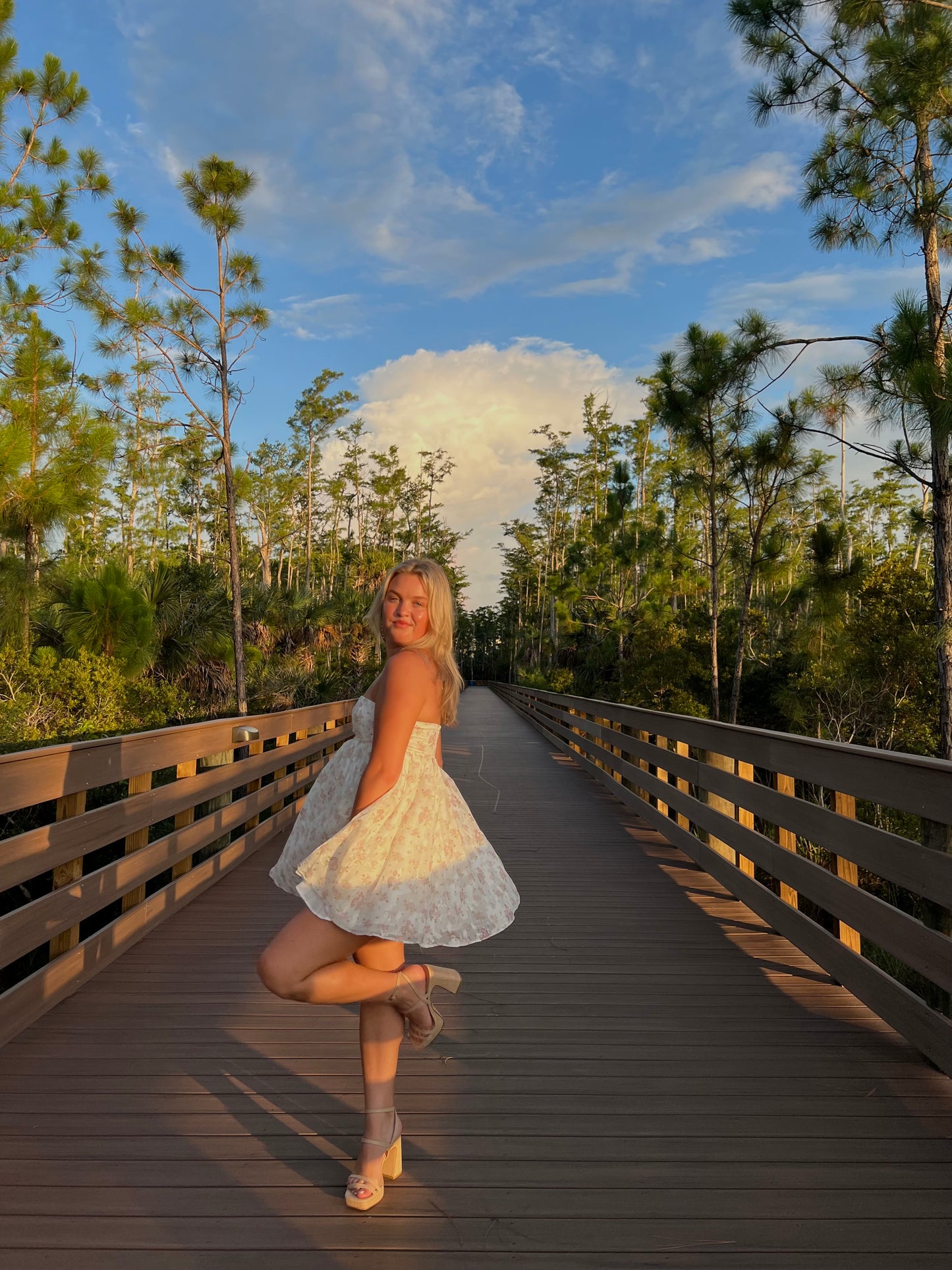 Sweet Serenade Mini Dress