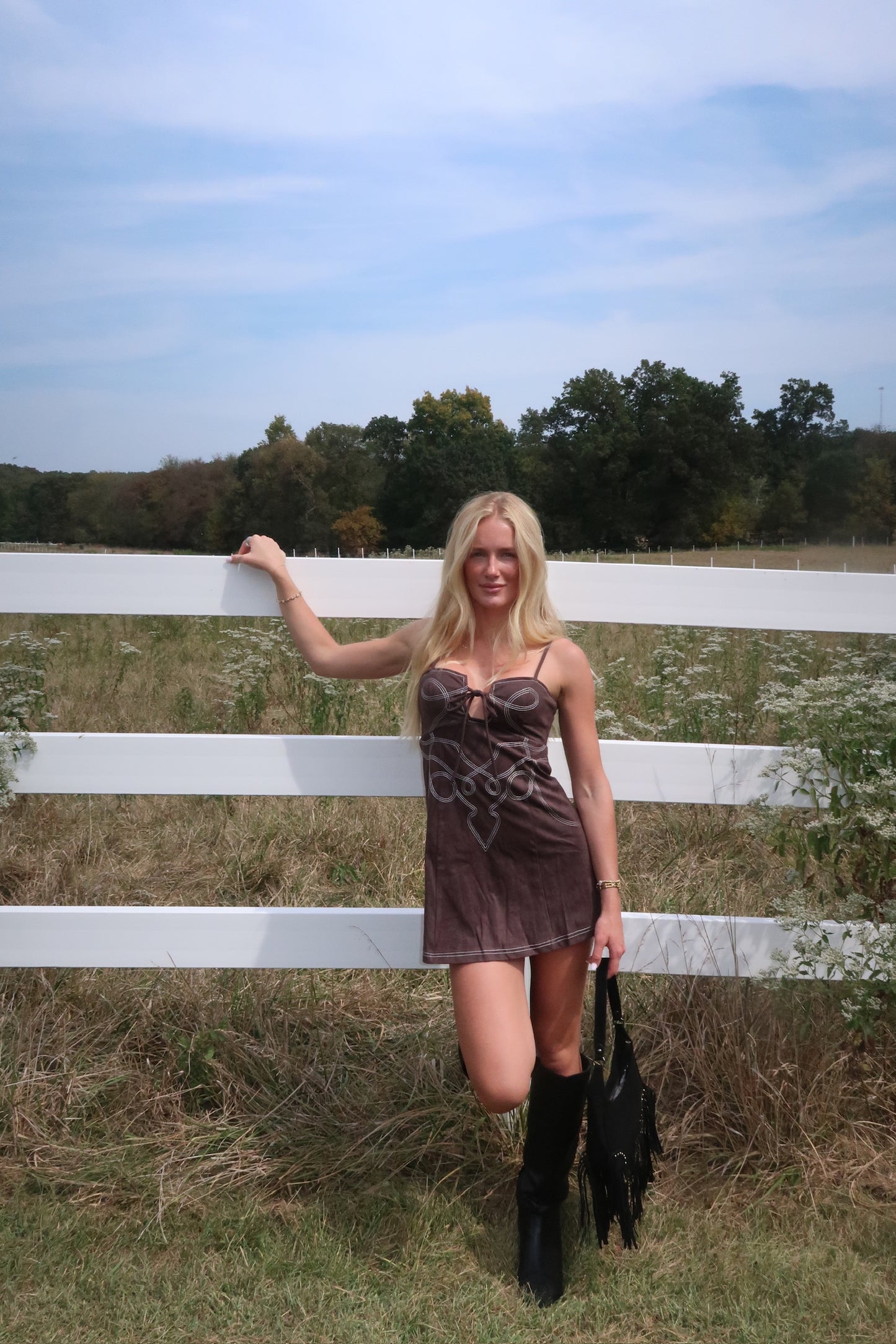 The Dakota Mini Dress