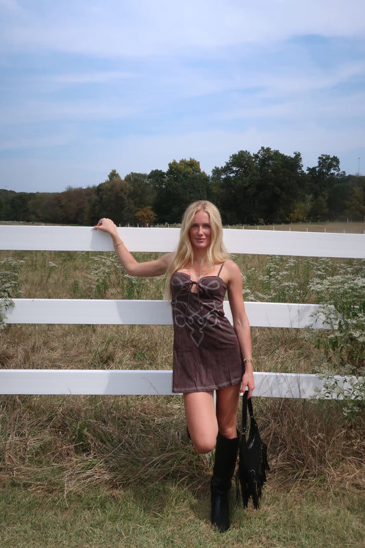 The Dakota Mini Dress