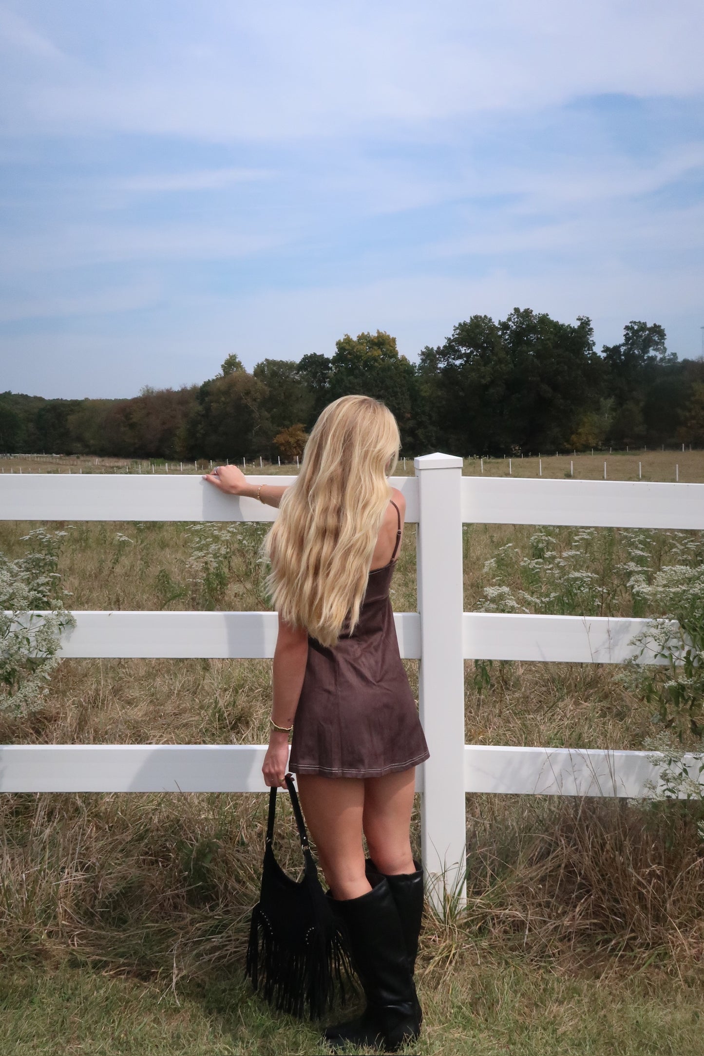 The Dakota Mini Dress