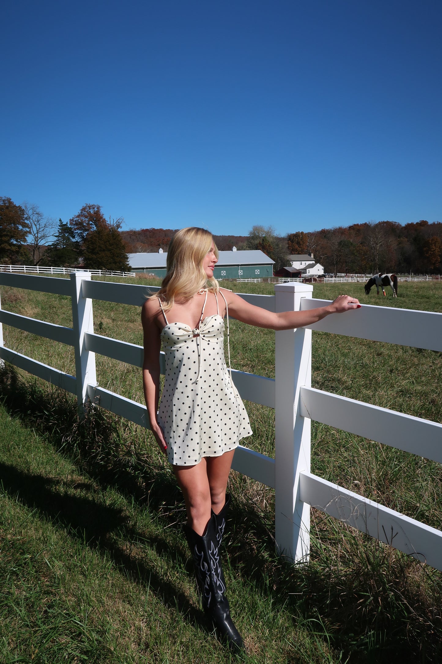 Another Love Mini Dress